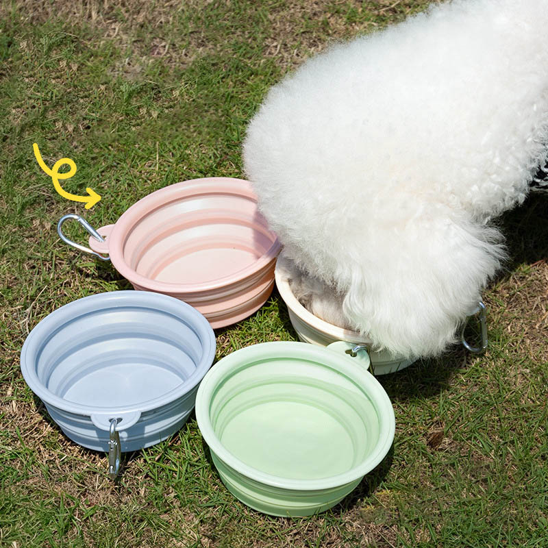 outdoor dog feeder
